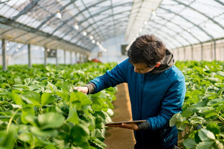 Safety for Greenhouse Workers