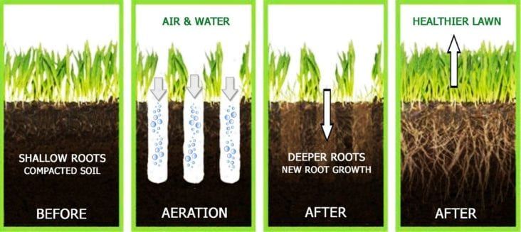 Aerate Your Lawn
