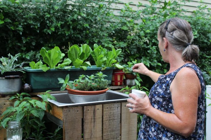 Growing home garden is pleasant therapy for all of us