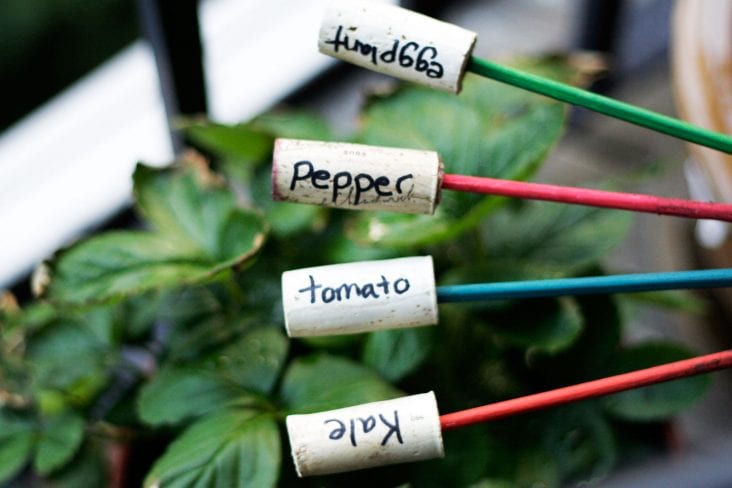 DIY Plant Markers